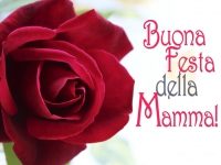 buona_festa_della_mamma_rosa_rossa.jpg