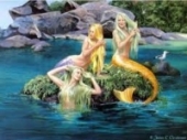 images sirene 2